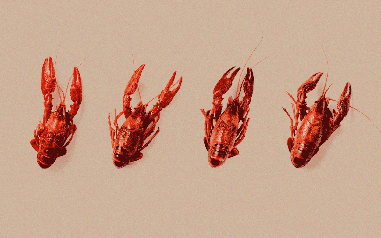 This Year’s No Good, Very Bad Crawfish Season