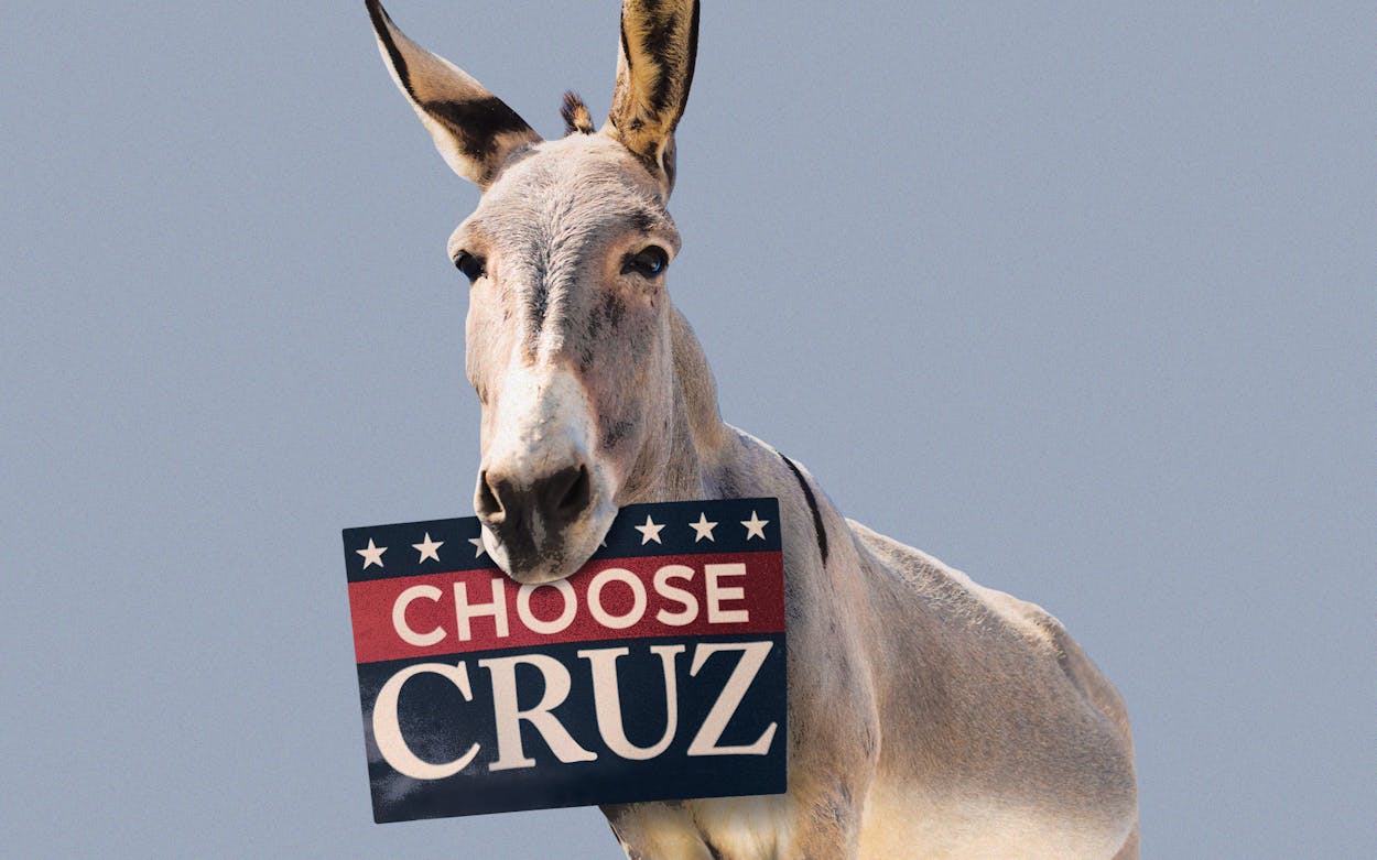 Democrats for Ted Cruz?