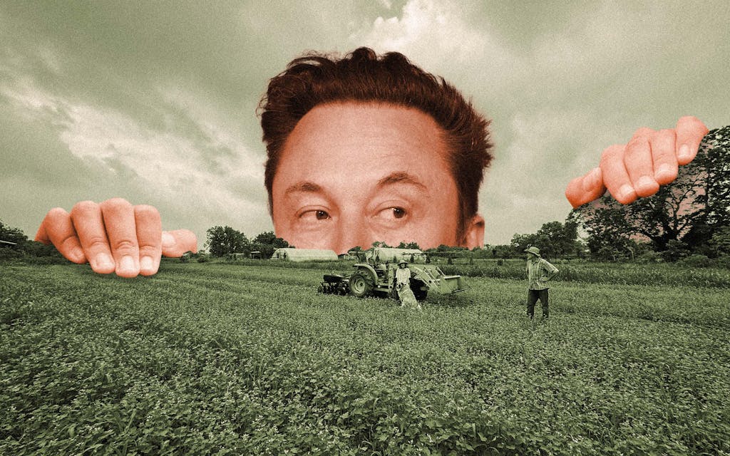 Bastrop-Elon-Musk-organic-farm-Boring-Company