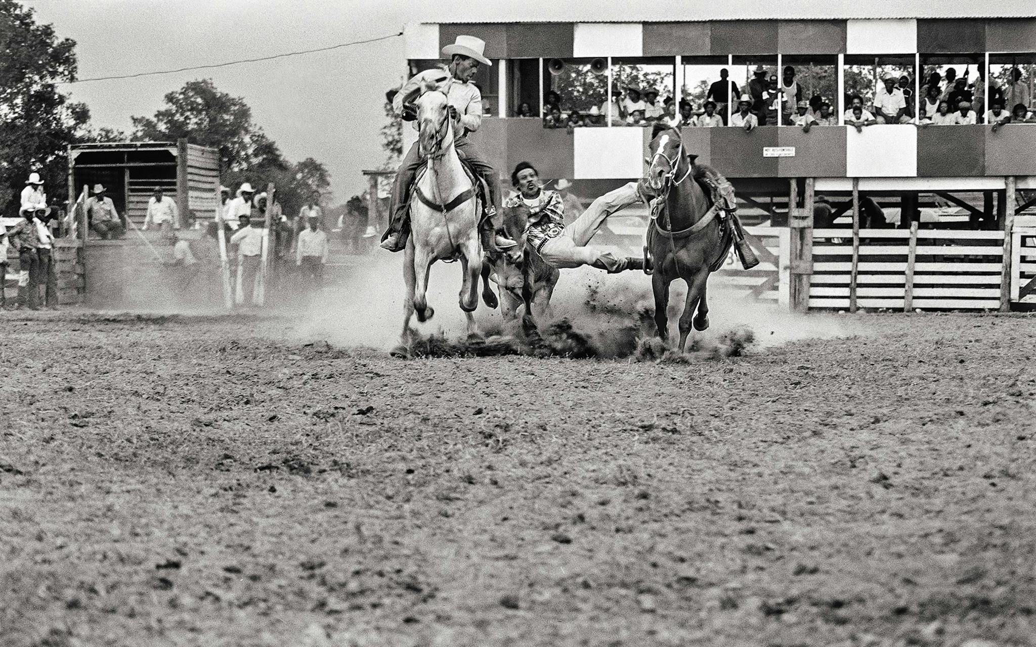 At the Diamond L, J. B. Collins herding the steer into position and Willie B. Pink dropping onto the animal’s head, as part of the 1978 steer-wrestling competition, an event devised by the first famous Black cowboy, Bill Pickett, a Texan.
