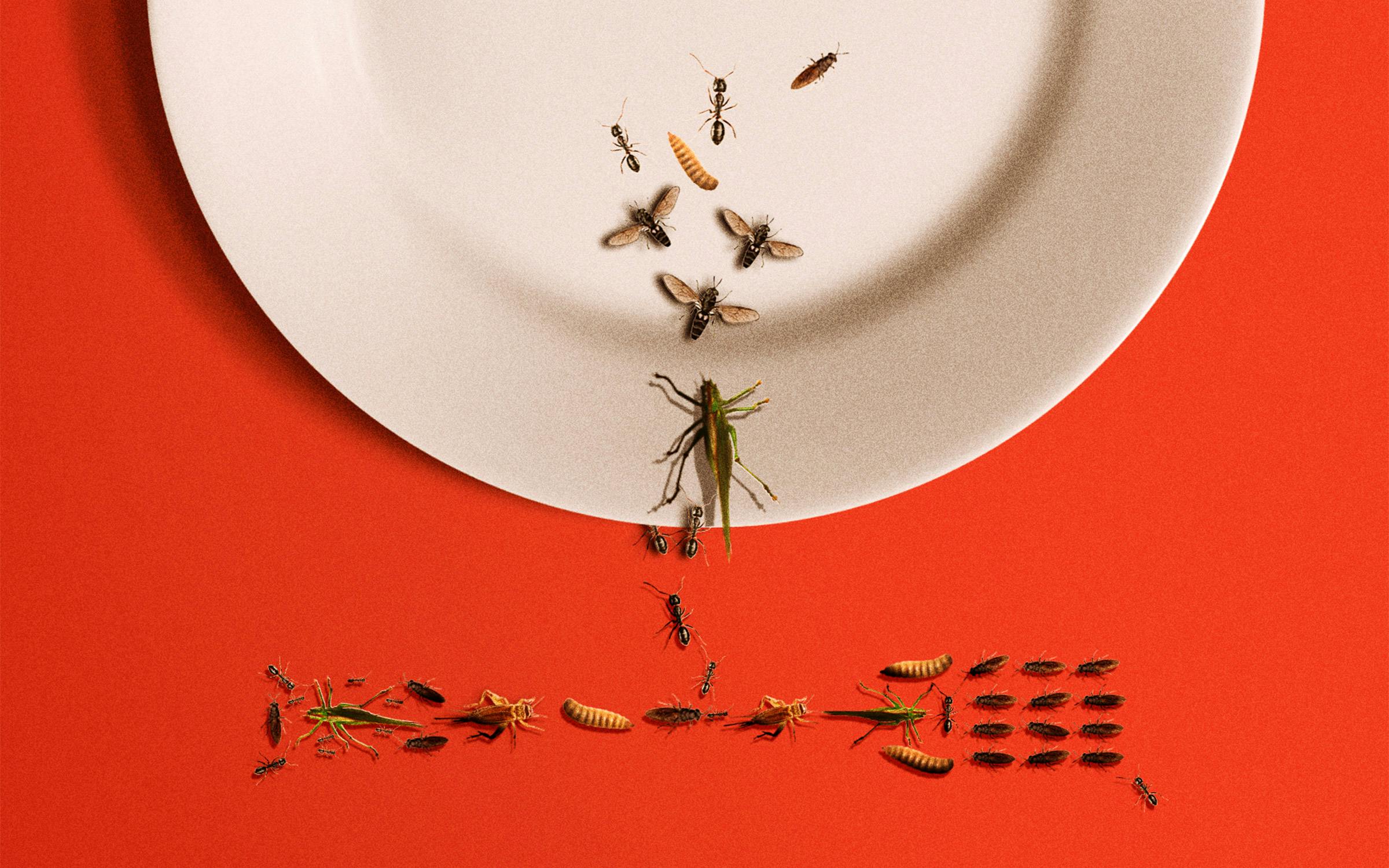 A Lab at Texas A&M Is Part of a Program Studying Insects as Food. Cue Right-wing Conspiracists.