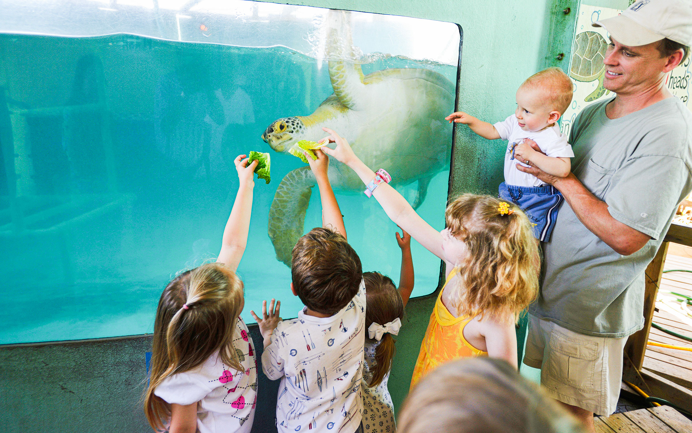 Ten Guides' Inside Scoop on Texas’s Top Tourist Attractions