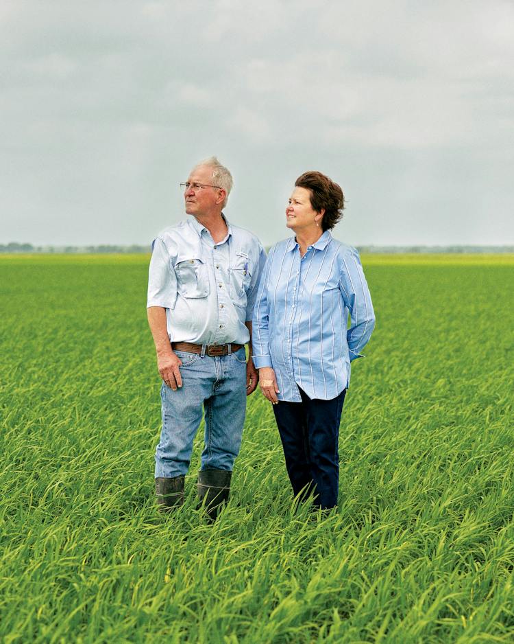 Texas Rice Field Texas's Rice Farms Are Slowly Disappearing