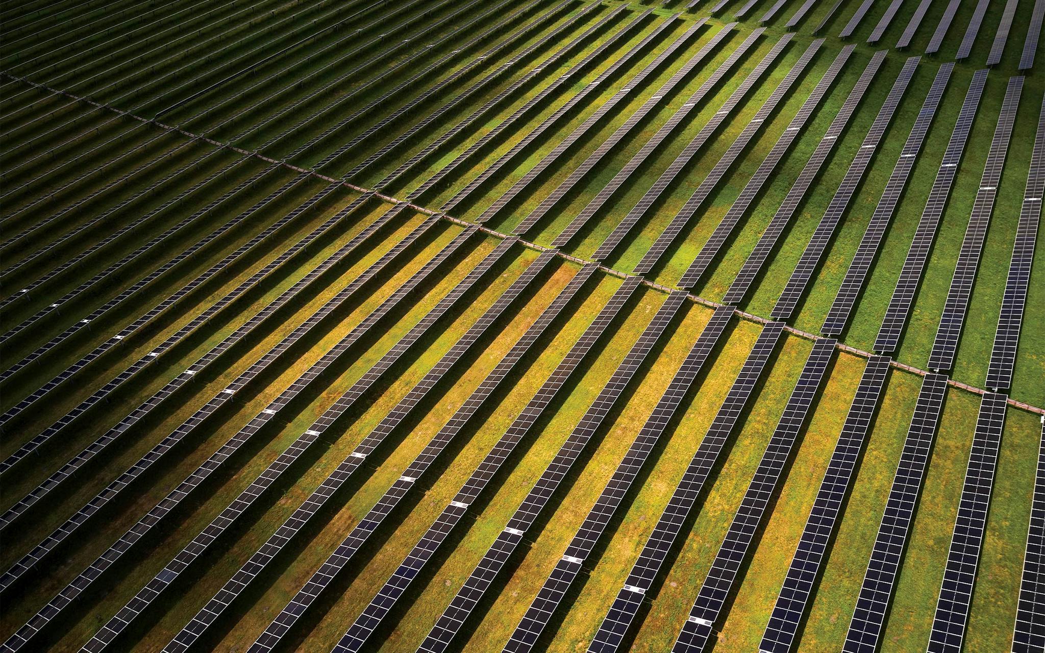 Solar Rice Texas's Rice Farms Are Slowly Disappearing