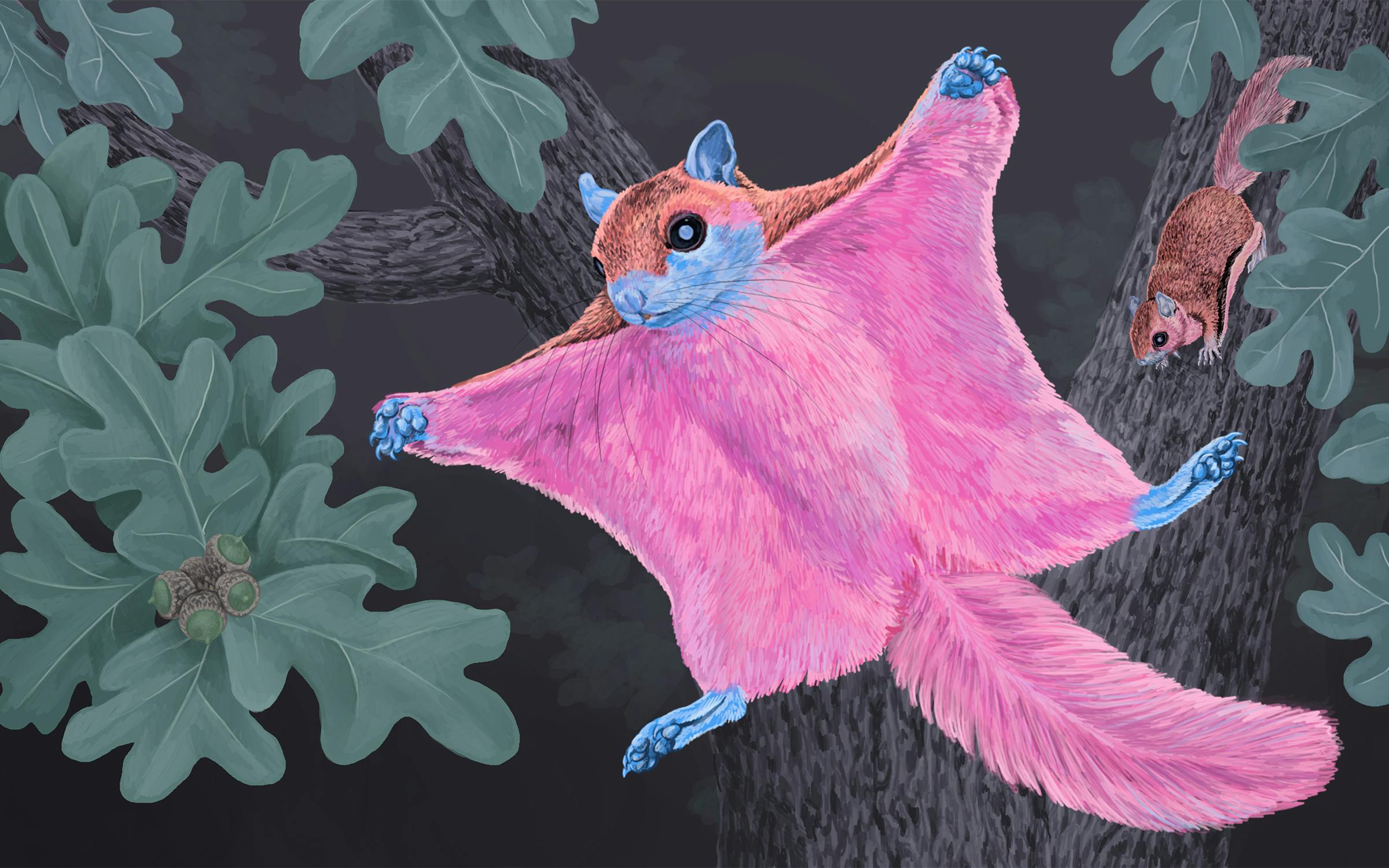 Flying Critters Boo Why Does This Eastern Texas Critter Glow? Scientists Have Theories.