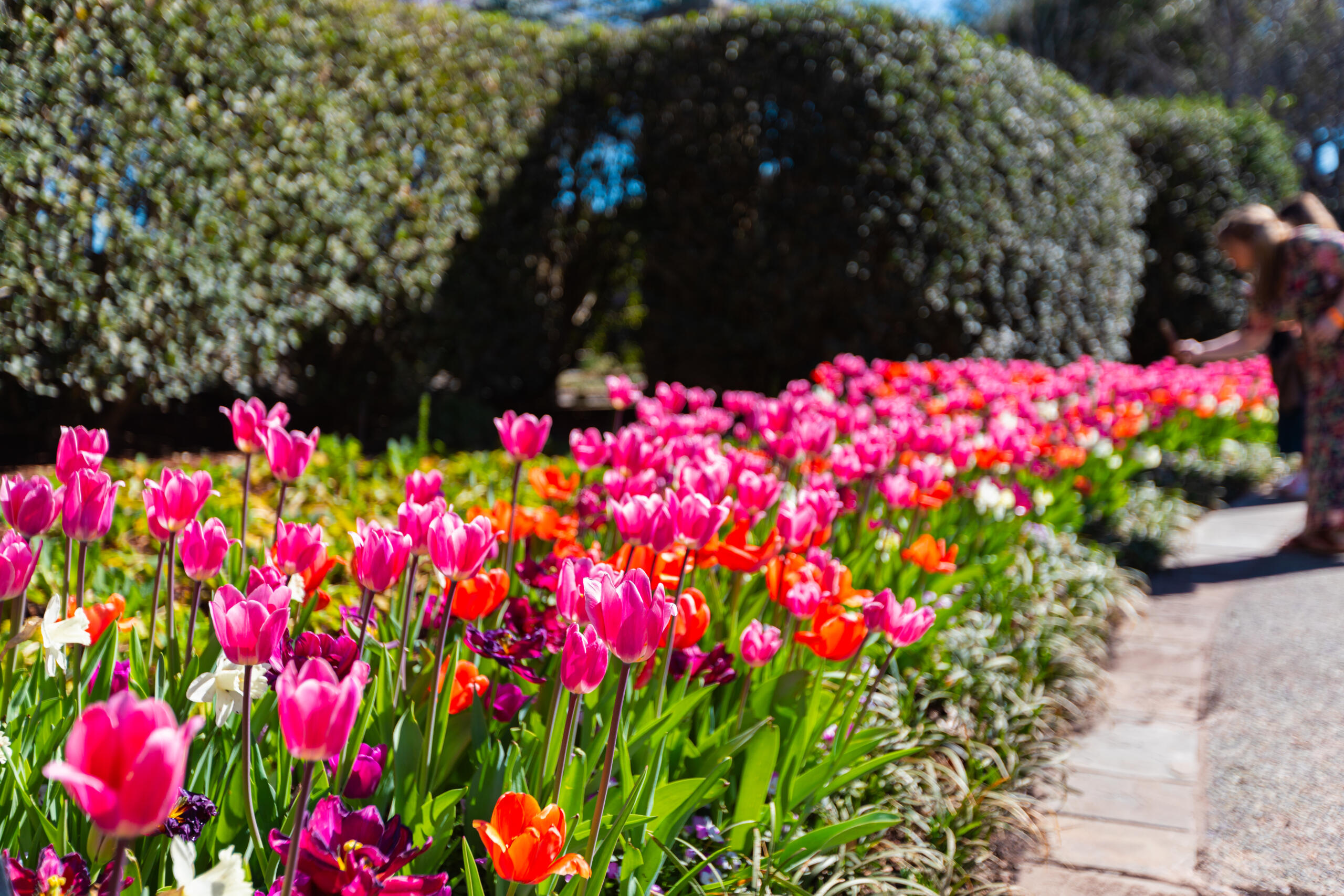 Feel the Springtime Swagger in Dallas – Texas Monthly