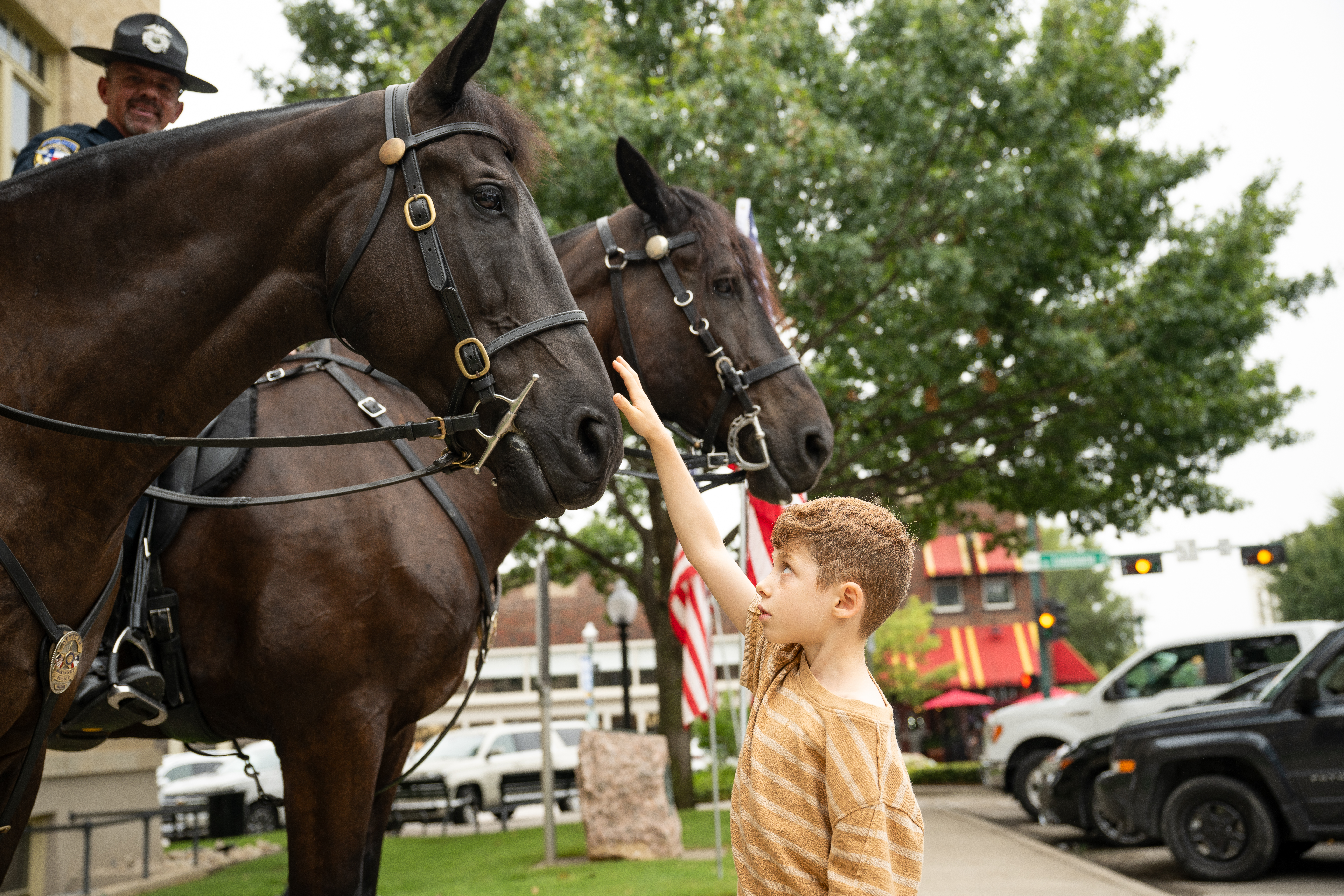 McKinney Is The Place To Be This Spring – Texas Monthly