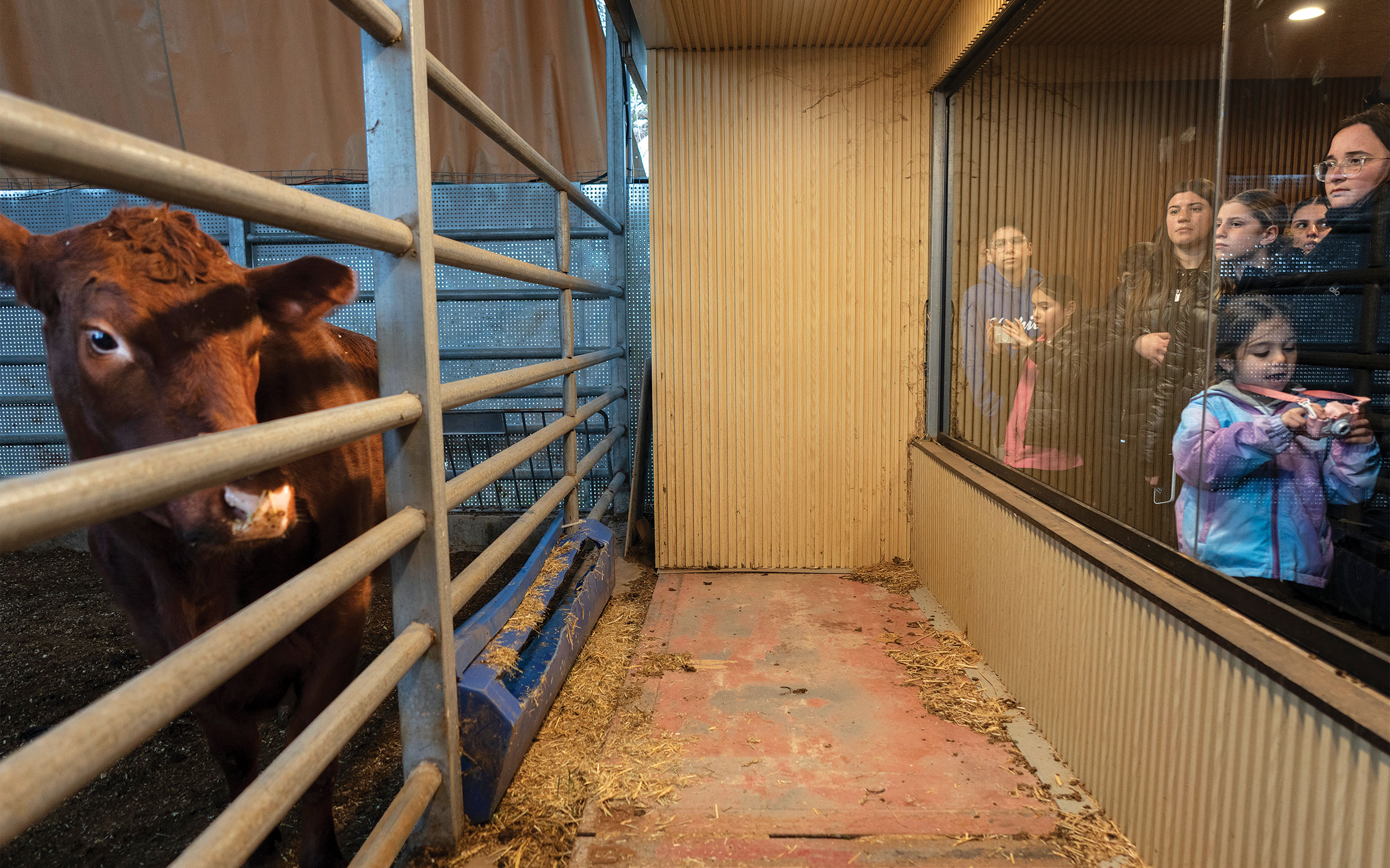 One Man’s Quest for the End of the World Started on a Ranch in Texas