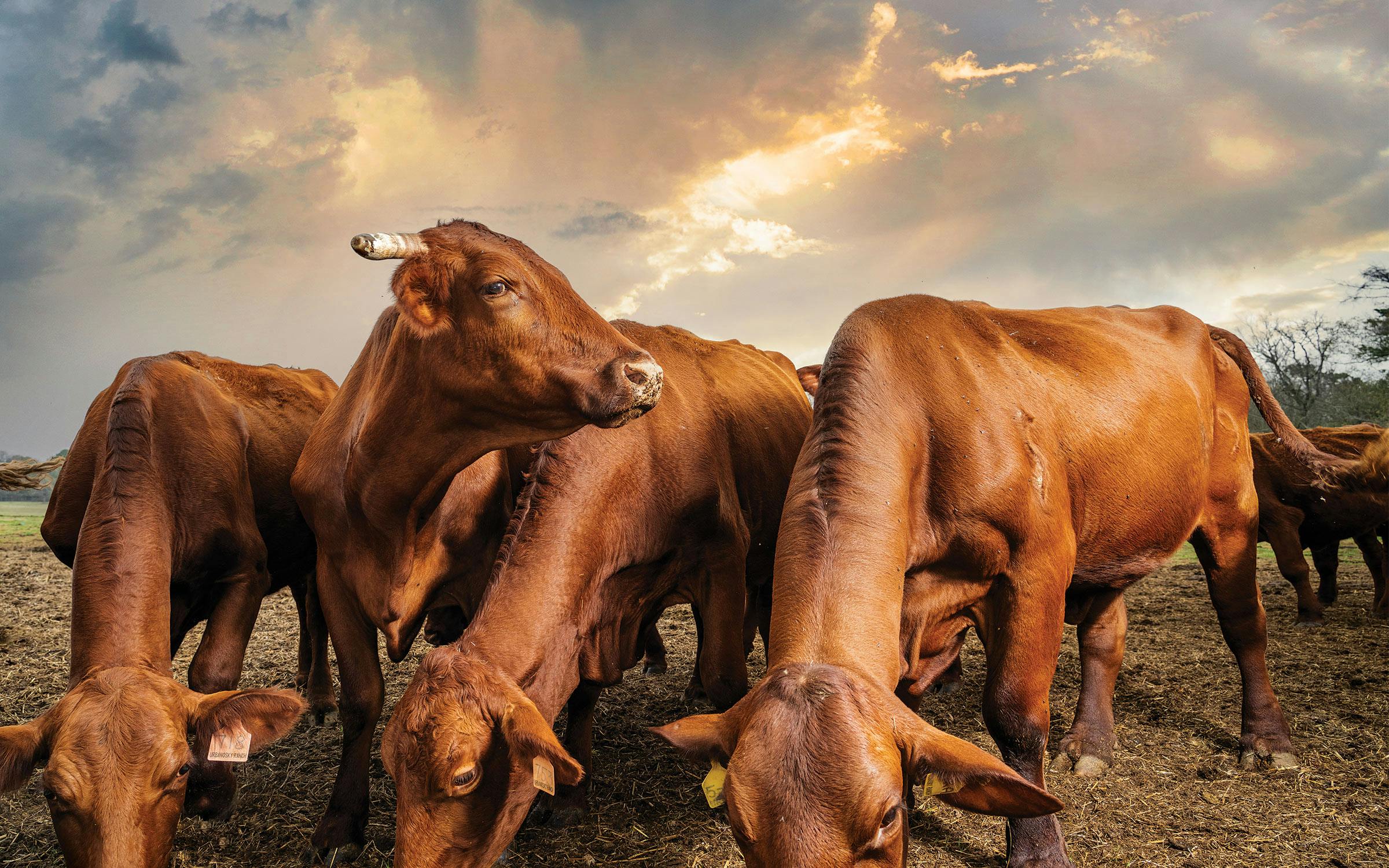 One Man’s Quest for the End of the World Started on a Ranch in Texas