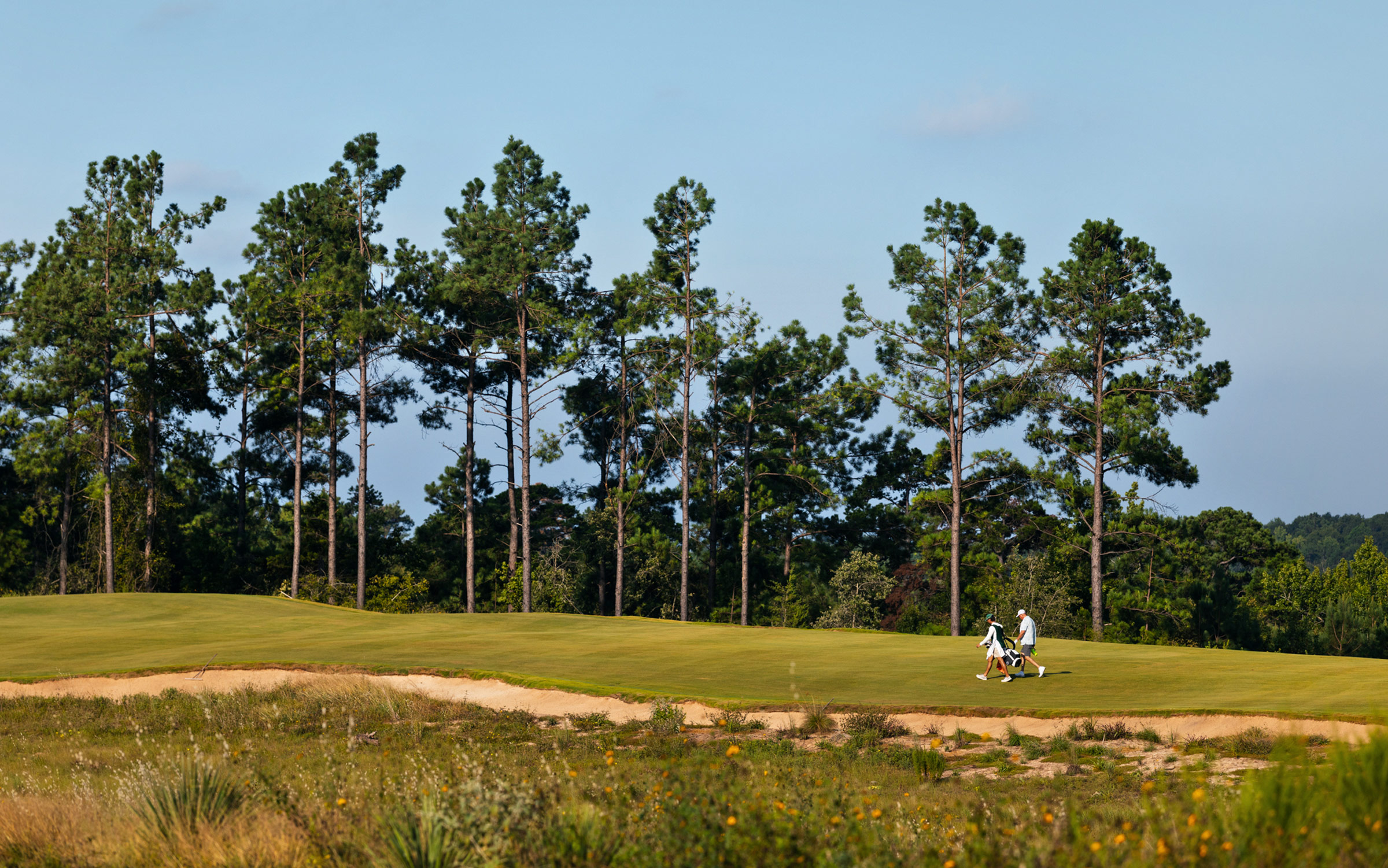 Wild Spring Dunes, in Mount Enterprise