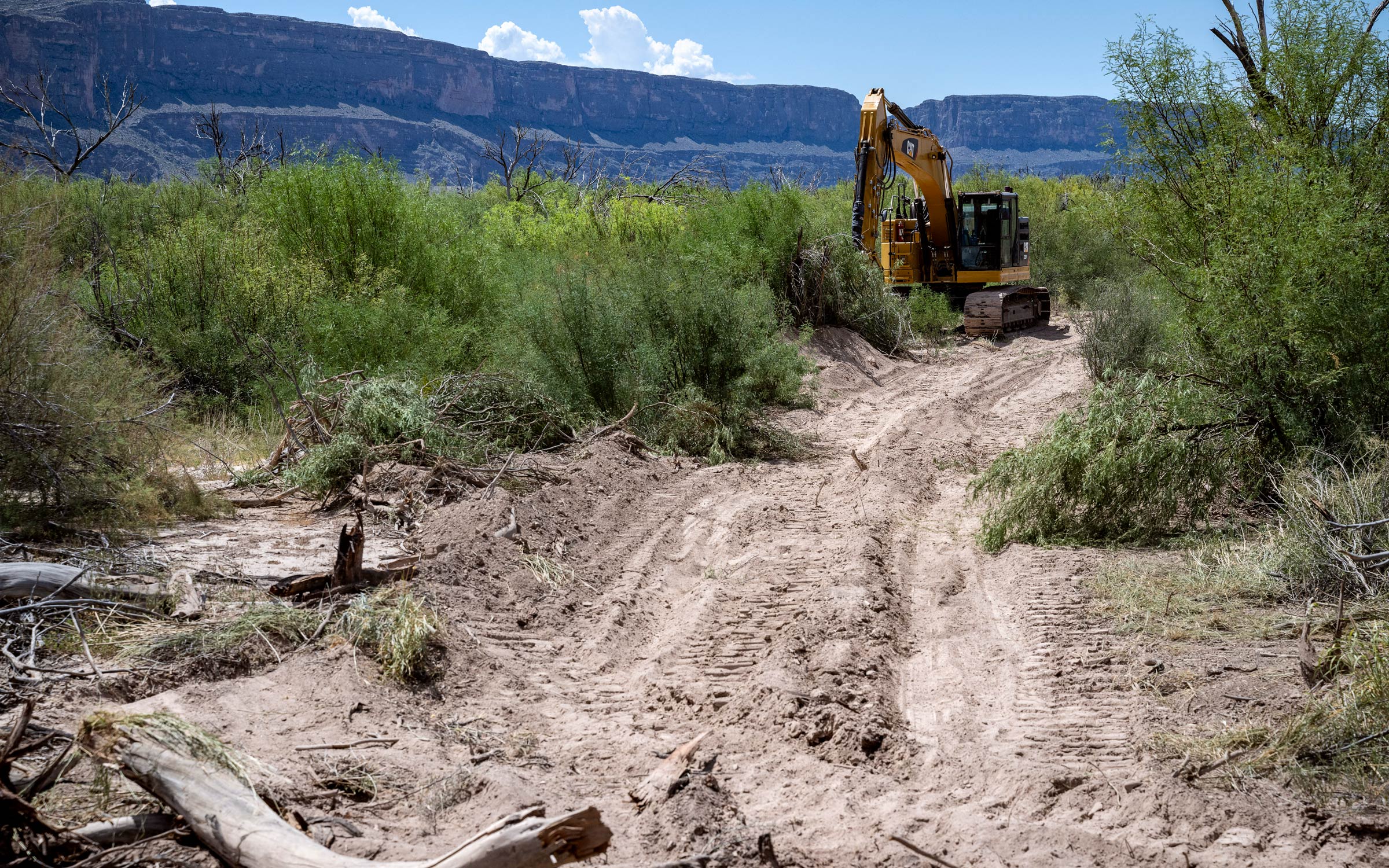 Judge Kathleen Cardone Halts Big Bend Border Wall