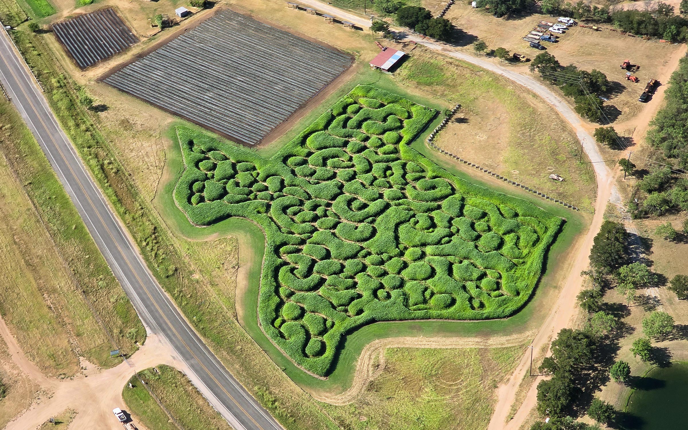 aerial photo of texas-shaped corn maze