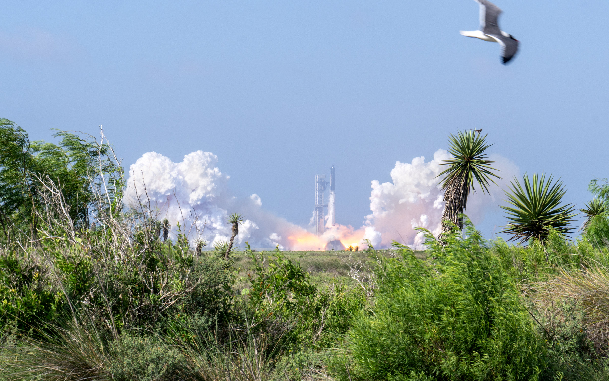 Greg Abbott's Hand-Picked Parks Commission Planned a Closed-Door Session on Selling Boca Chica State Park — Two Days After the Election. Sources Say the Buyer Is Elon Musk's SpaceX.