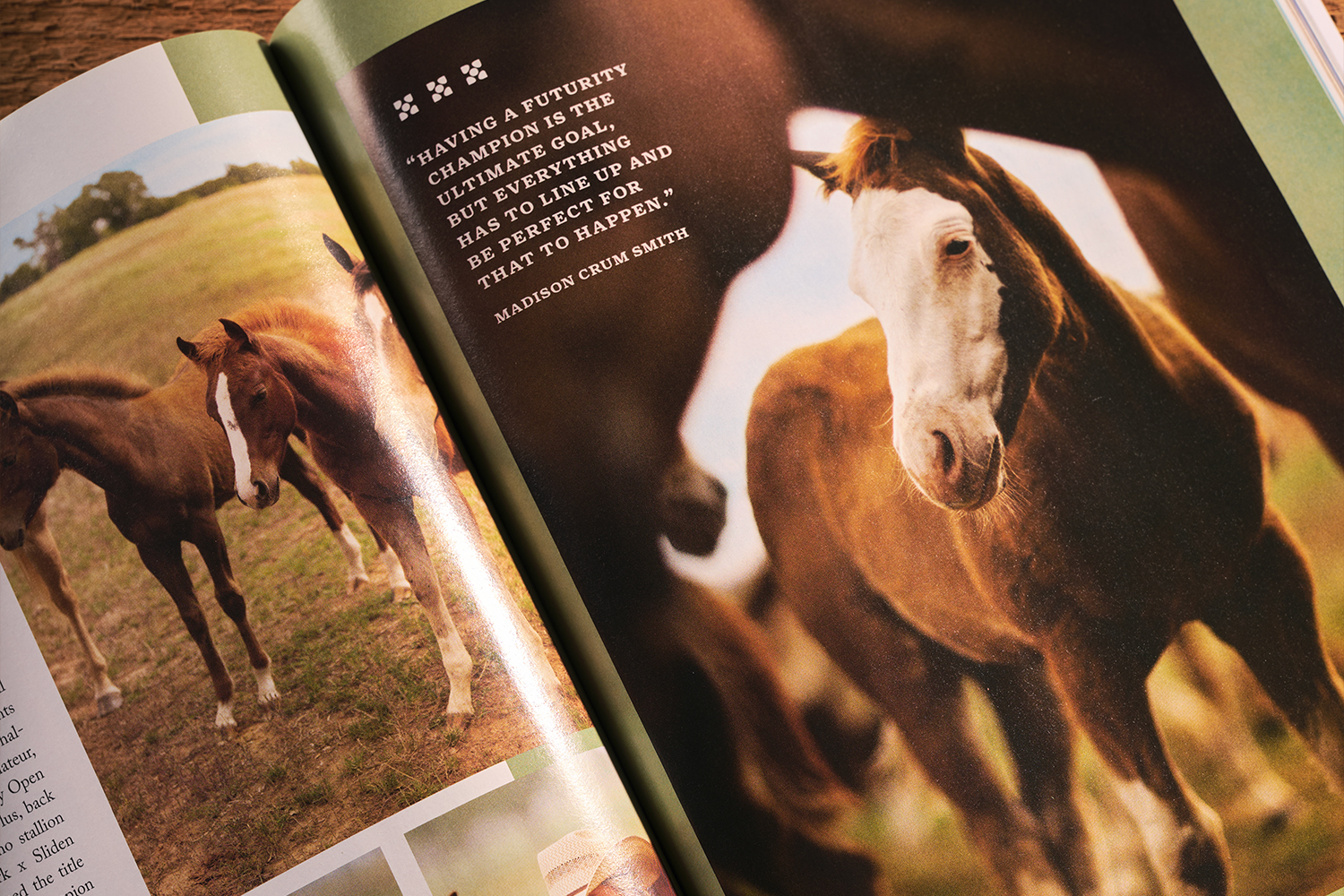The Authority on the Sport of Cutting - Texas Monthly Studio